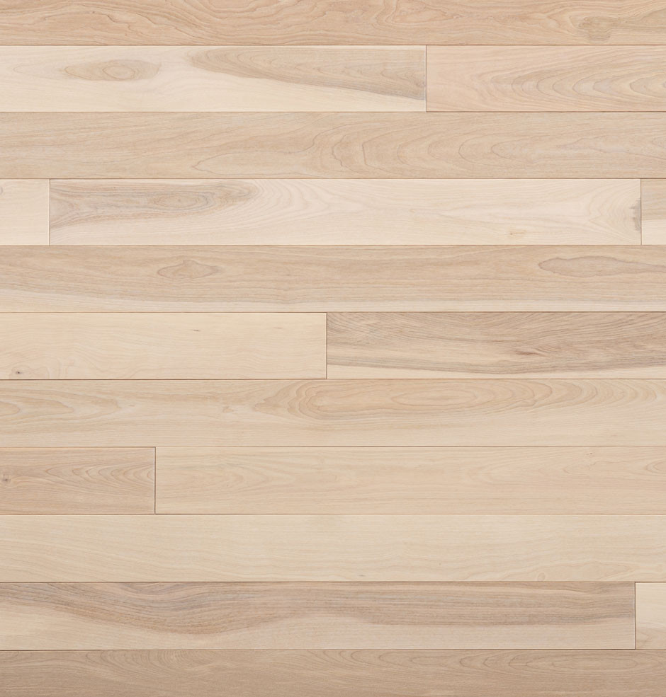 Barewood Birch Hardwood Flooring | Domestic | Elite | Elite Plus