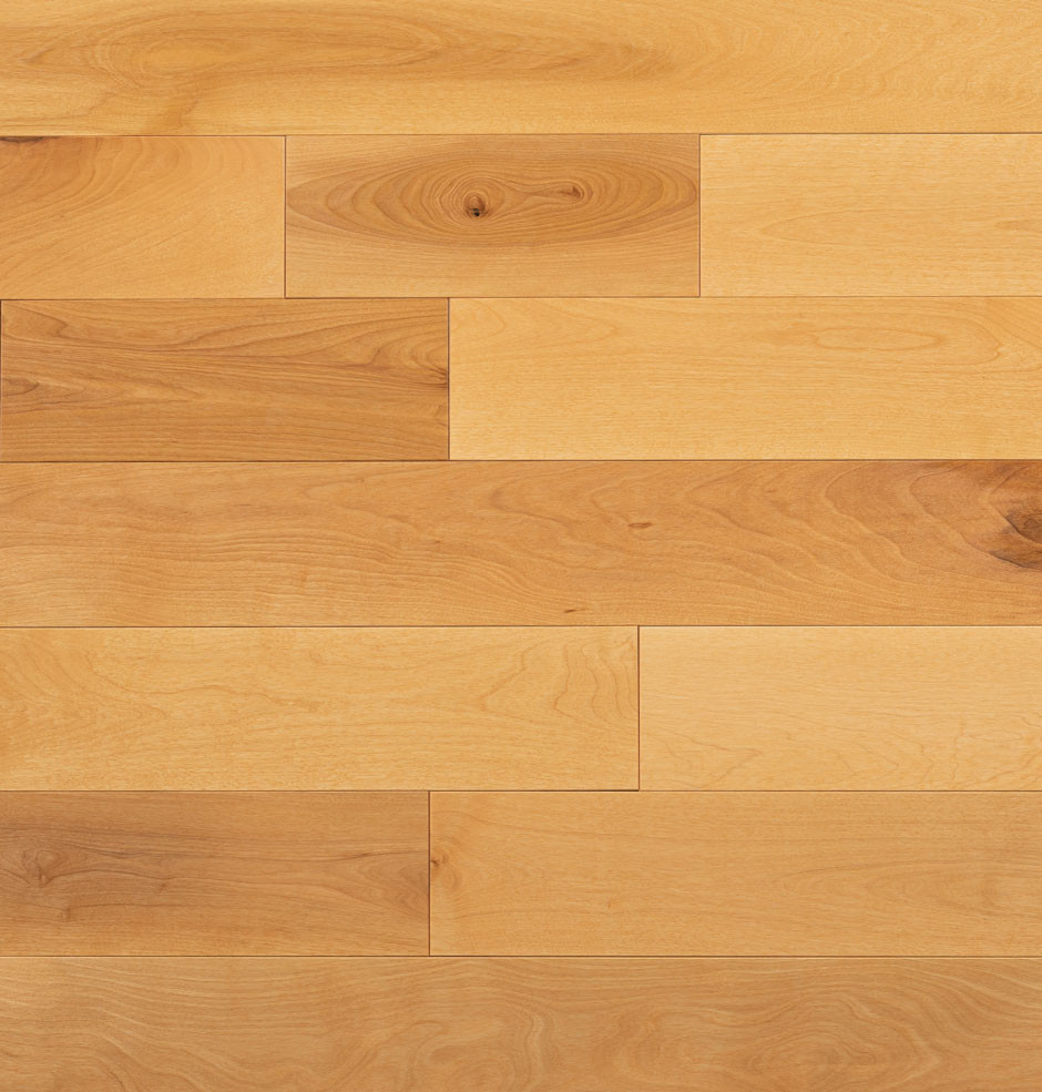 Honey Gold Birch Hardwood Flooring | Domestic | Elite | Elite Plus