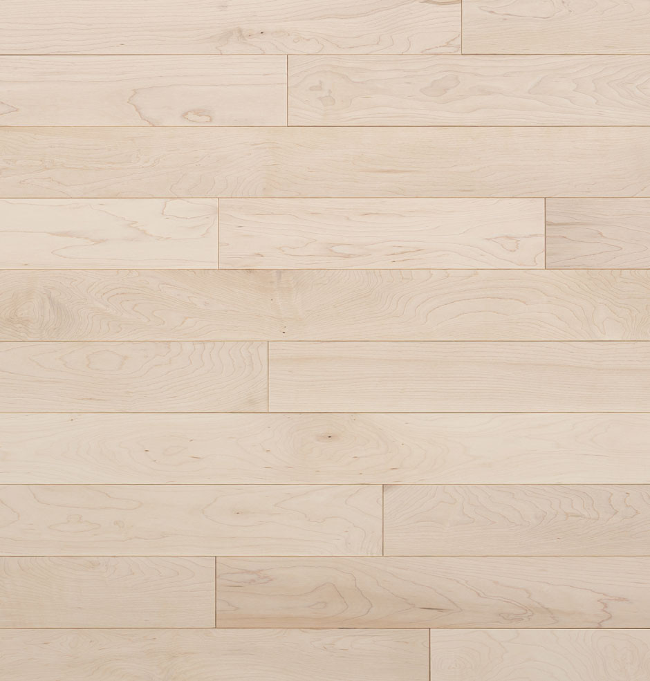 Barewood Maple Hardwood Flooring | Domestic | Elite | Elite Plus