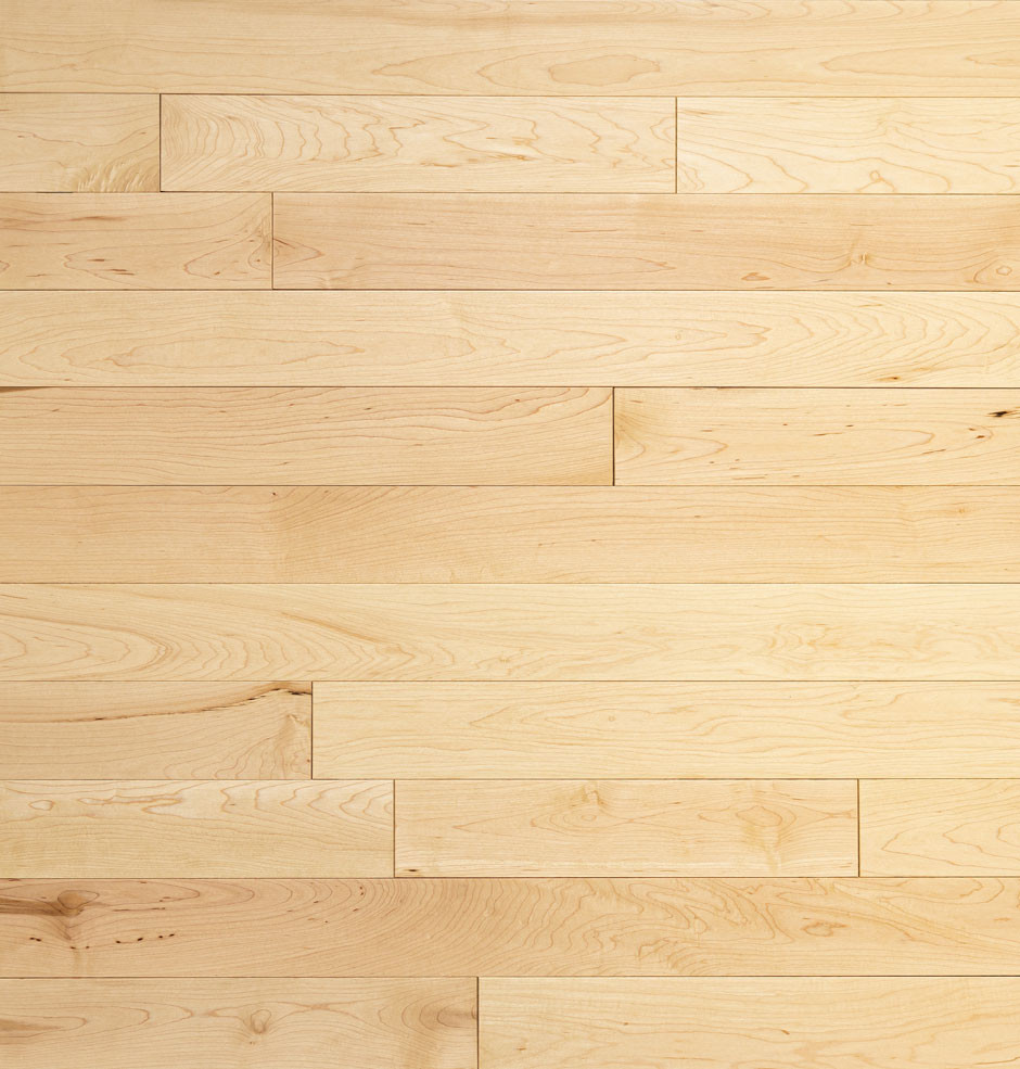 Cedar Maple Hardwood Flooring | Domestic | Elite | Elite Plus