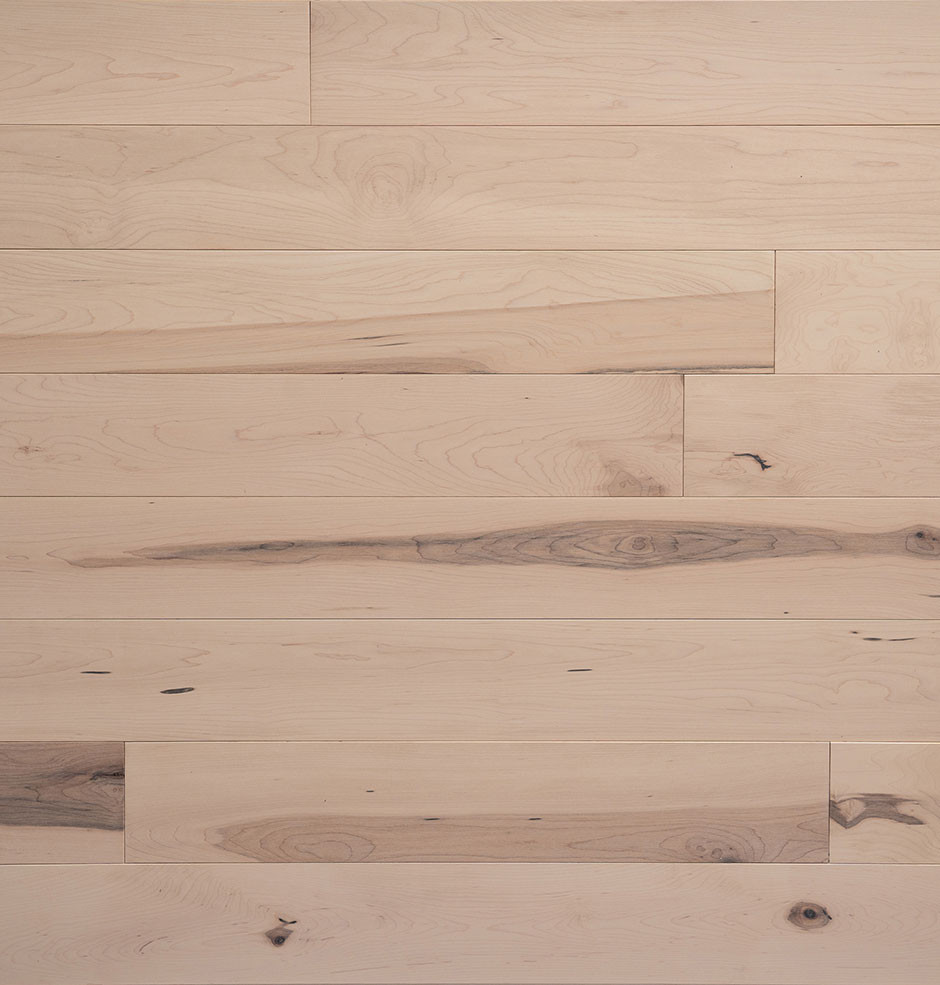Geneva Maple Hardwood Flooring | Domestic | Elite | Elite Plus