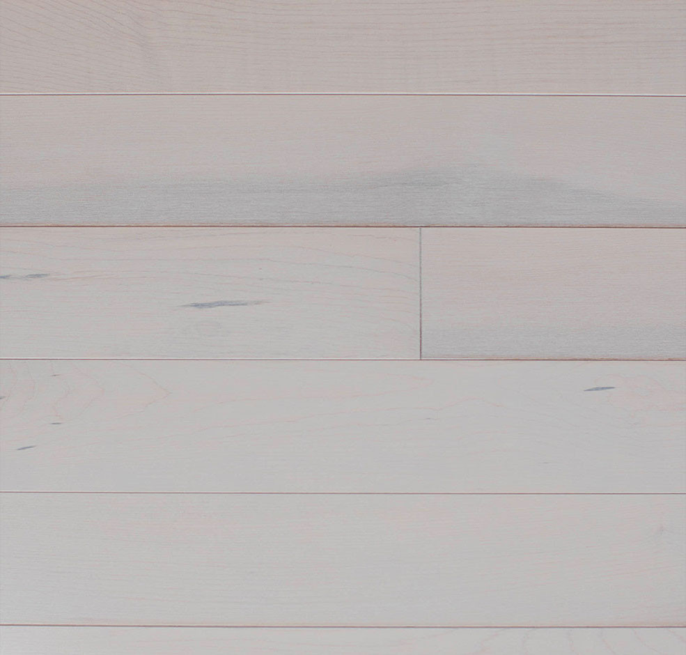 Polar Maple Hardwood Flooring | Domestic | Elite | Elite Plus
