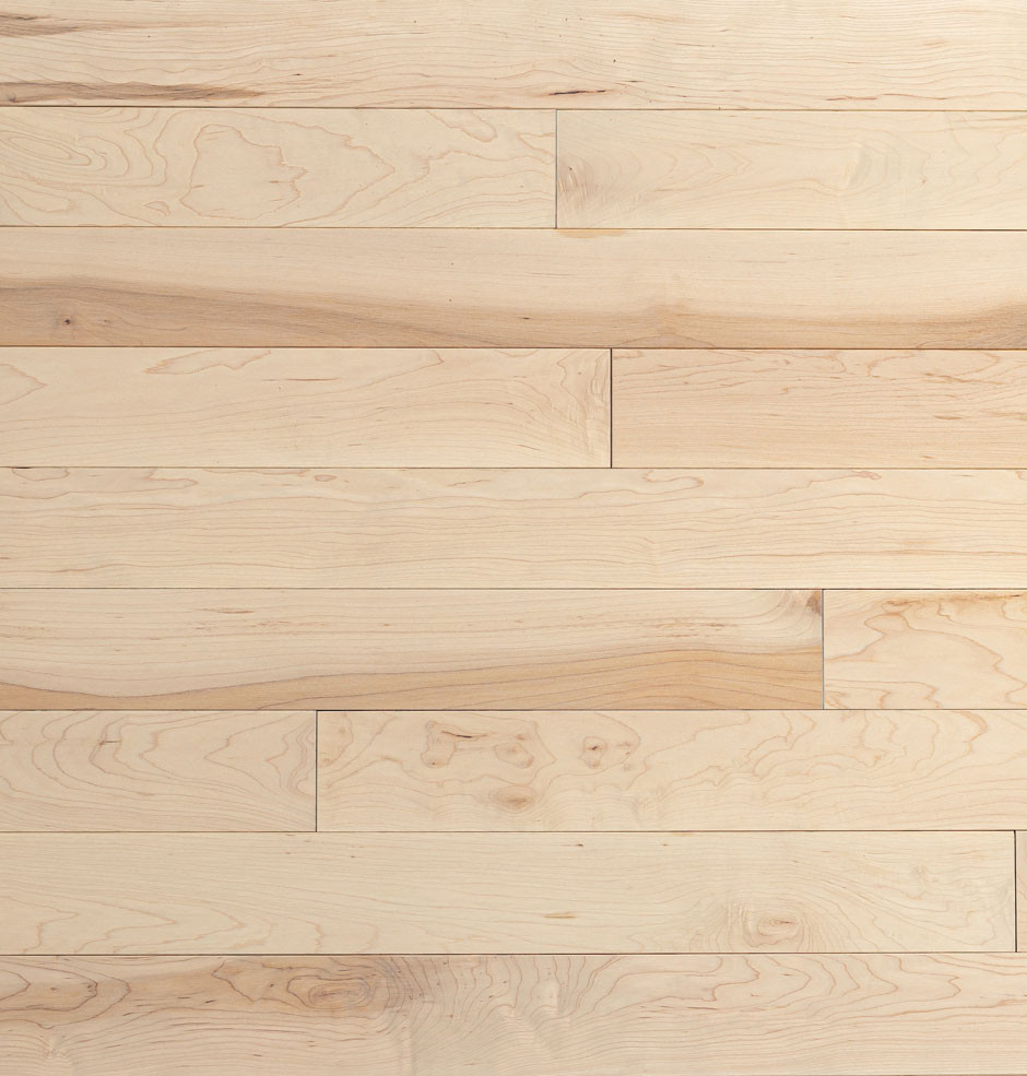 Sandbank Maple Hardwood Flooring | Domestic | Elite | Elite Plus