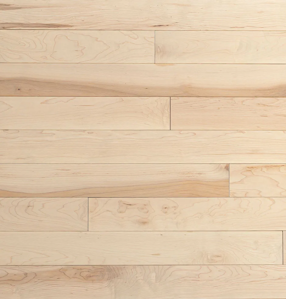 Sandbank Maple Hardwood Flooring | Domestic | Elite | Elite Plus
