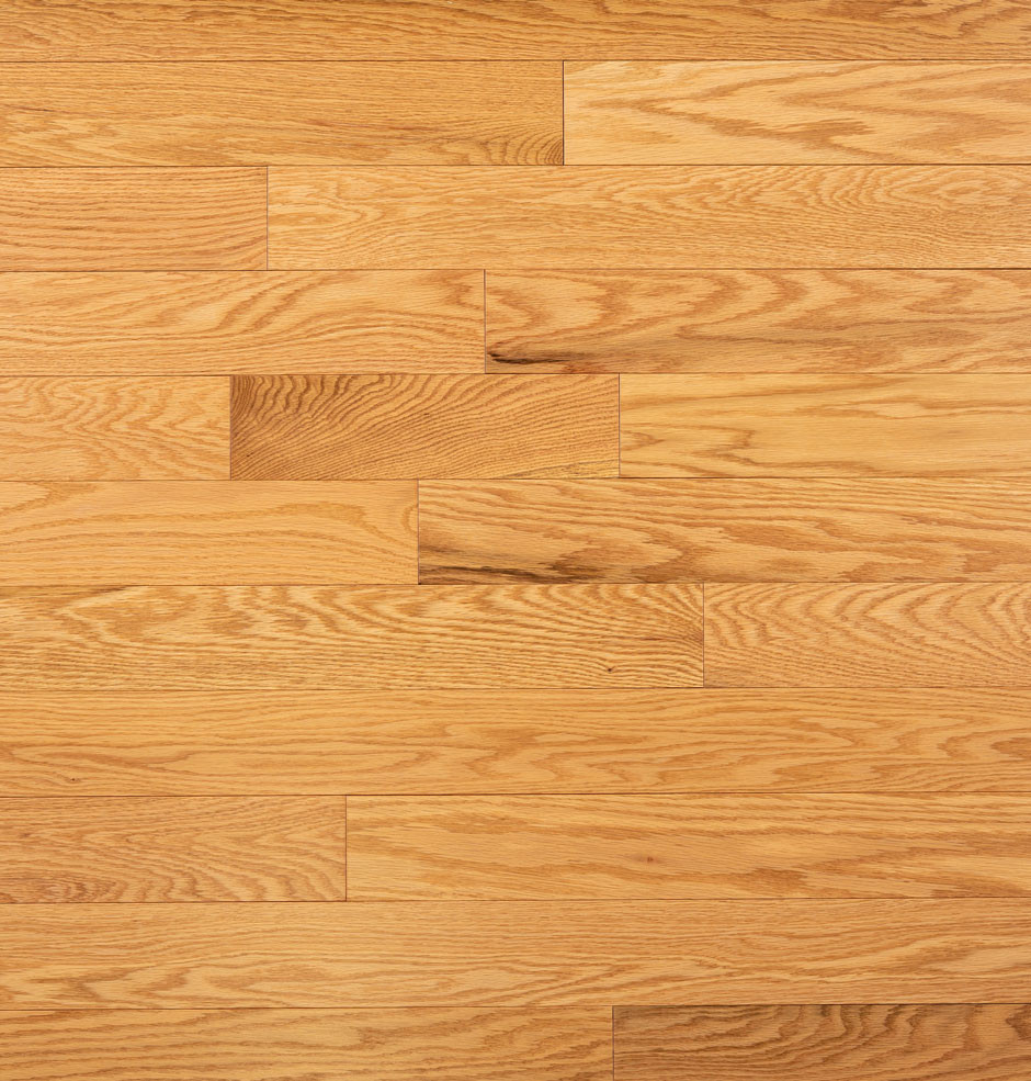 Classic Red Oak Hardwood Flooring | Domestic | Elite | Elite Plus