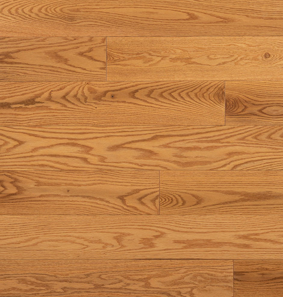 Honey Gold Red Oak Hardwood Flooring | Domestic | Elite | Elite Plus