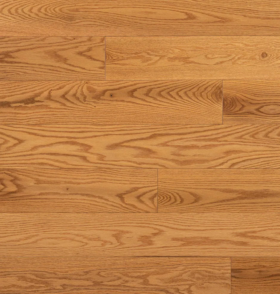 Honey Gold Red Oak Hardwood Flooring | Domestic | Elite | Elite Plus