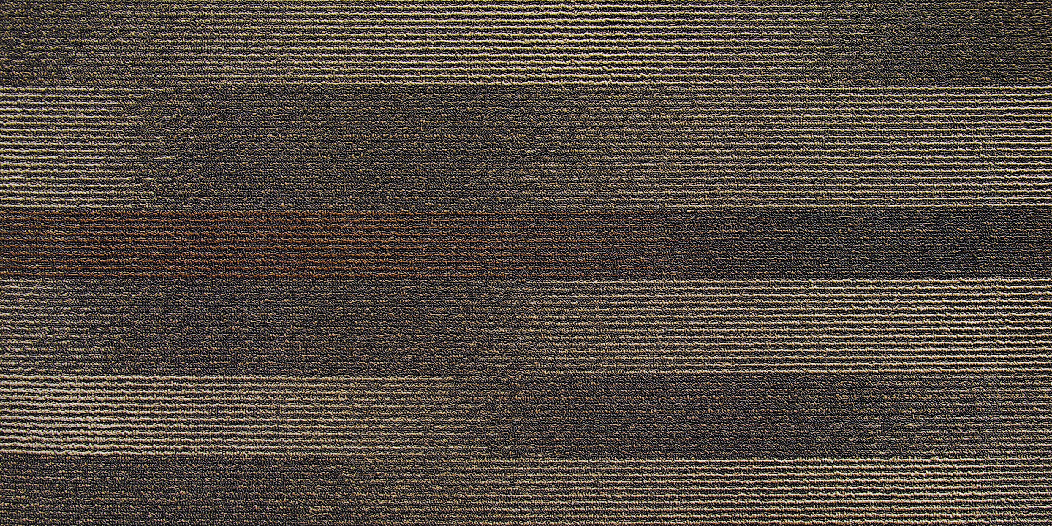 Continuum - Mojave 840-010 Next Floor Carpet Tiles