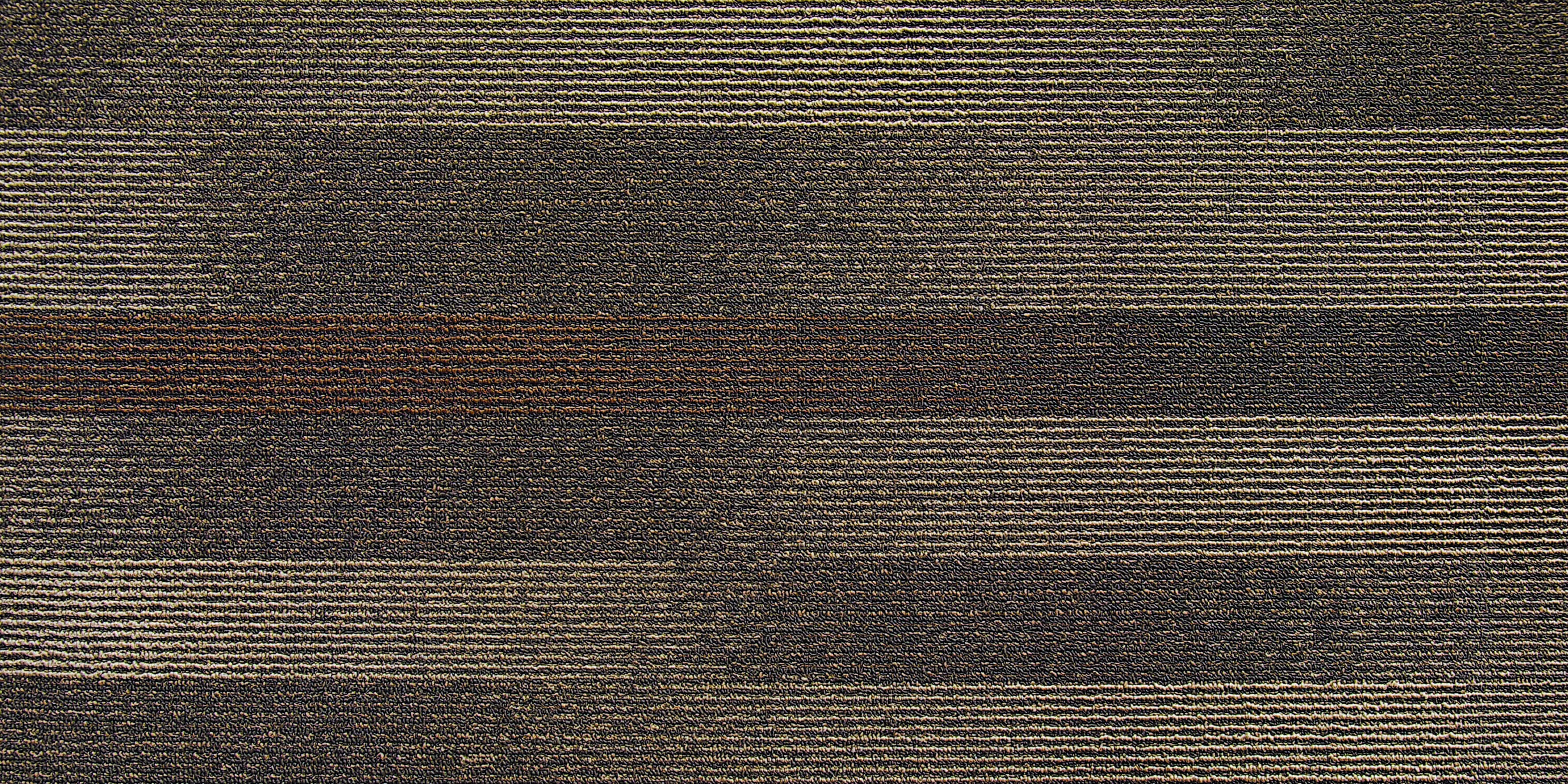 Continuum - Mojave 840-010 Next Floor Carpet Tiles
