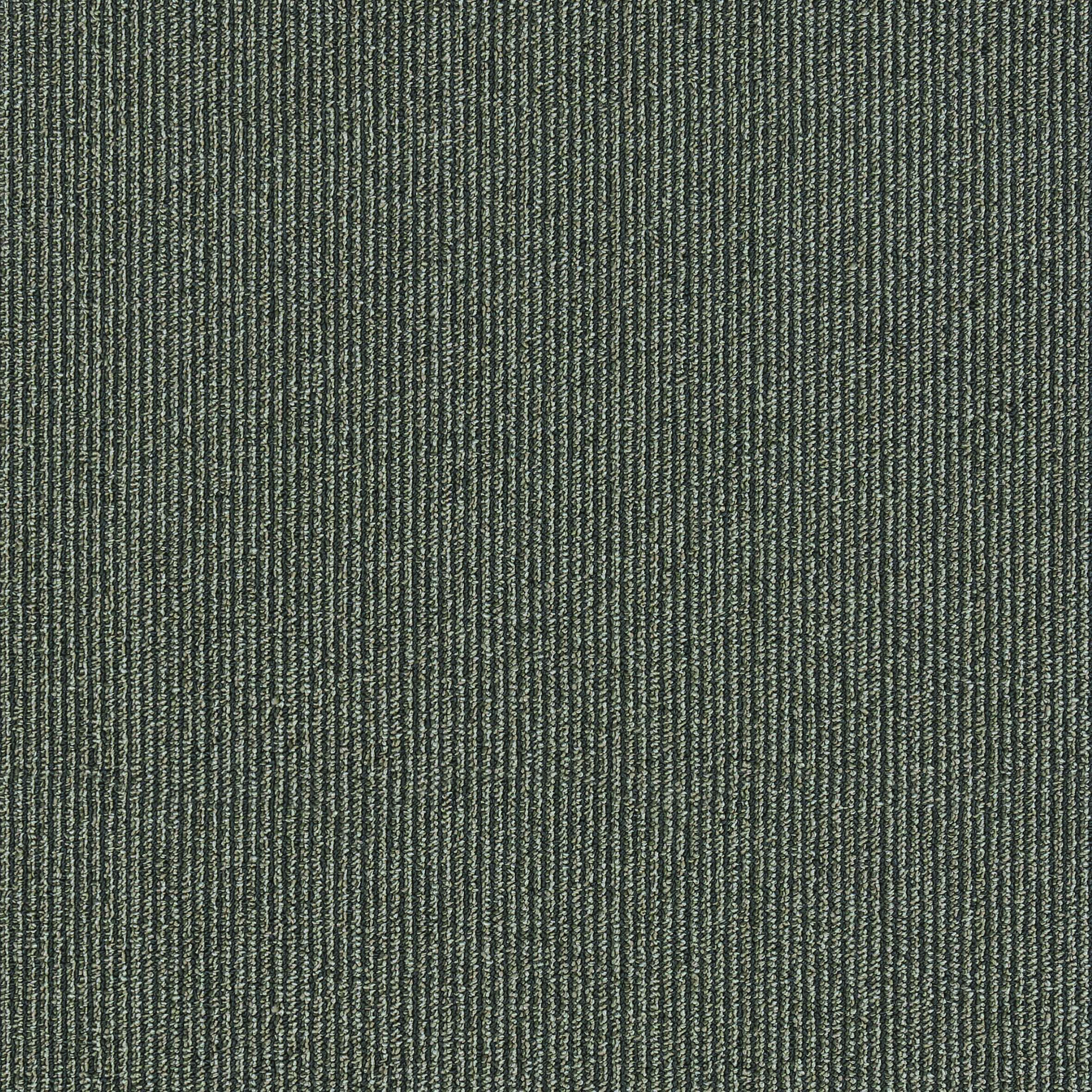 Pinstripe - Sequoia 877-002 Next Floor Carpet Tiles